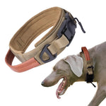 Qpets Dog Collar for Large Breeds with D Ring & PU Handle featuring 3.8cm Nylon Strap | Reflective Safety Training Collar