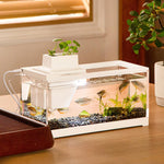 Qpets Mini Betta Fish Tank for Home or Office Decor with LED Lighting and Filtration | Clear Acrylic 30×13×15 cm