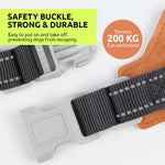 Qpets Reflective Dog Harness for Safe Night Walking with Dual D-Rings and Quick Release Buckle