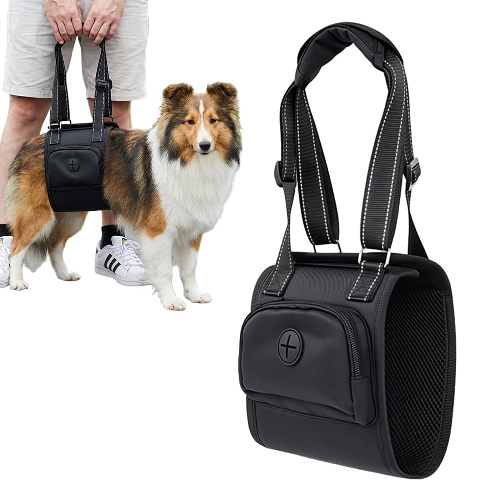 Qpets® Dog Lift Harness Oxford Cloth, Hook and Loop Closure Dog Rear Support Harness Walking Assistant, Built in Zipper Pocket, Breathable Mesh Liner, for Elderly & Disabled Dogs, M