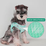 Qpets Small Dog Harness with 4.9 ft Leash featuring Dual D Rings and Breathable Mesh Vest