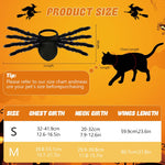 Qpets Halloween Dog Costume for Small Pets featuring Adjustable Fit 29.9–39.8cm Neck | Fun Spider Design