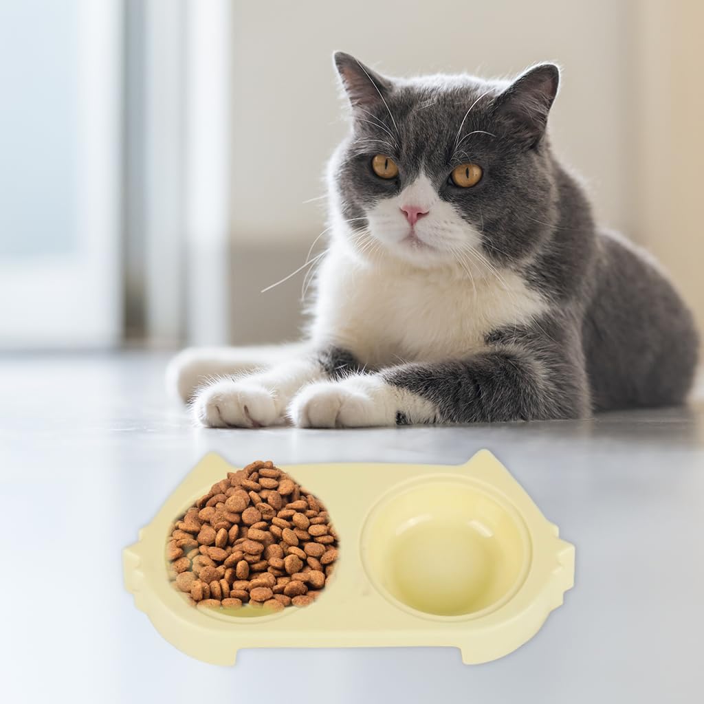 Qpets Dog Food Bowl for Cats and Puppies with 2 in 1 Feeding Design and Non Slip Base