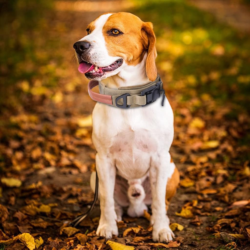 Qpets Dog Collar for Large Breeds with D Ring & PU Handle featuring 3.8cm Nylon Strap | Reflective Safety Training Collar