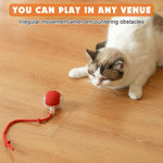 Qpets Dog Toy Ball for Cats and Dogs with Triple Play Modes and USB Rechargeable Design