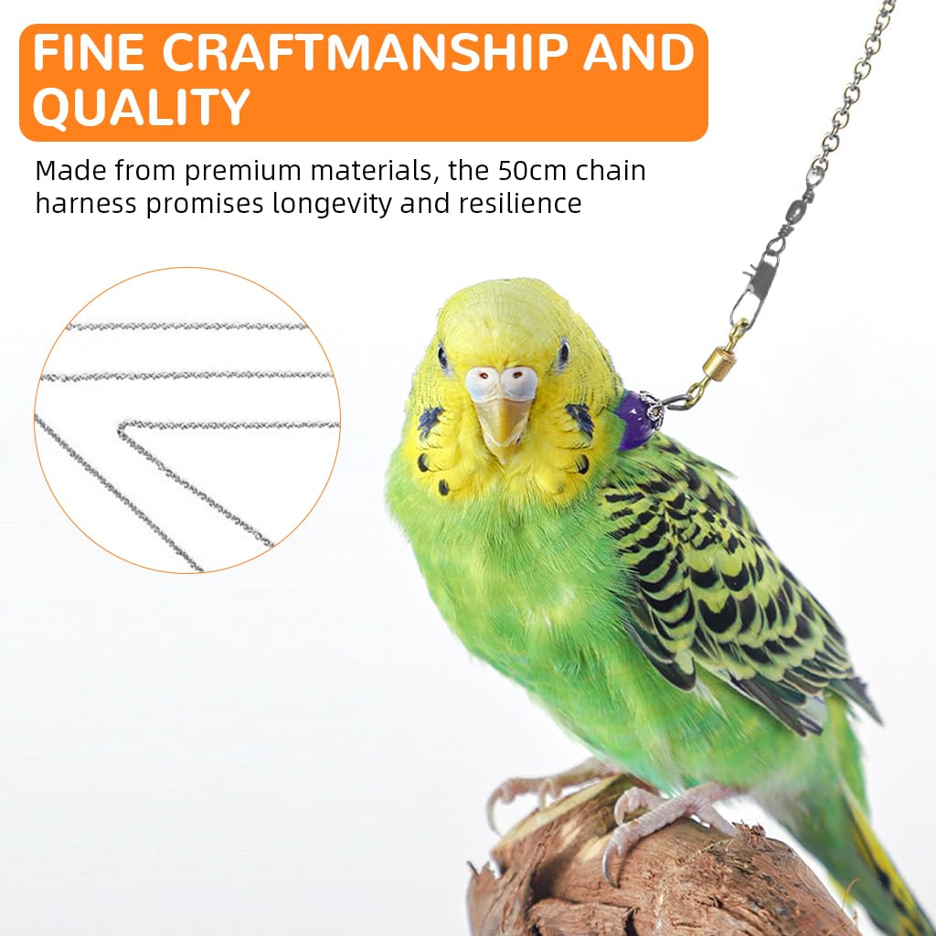 Qpets Parrot Chain Harness for Outdoor Use with 50cm Chain and Quick Release Buckle | Purple Opal Charm Collar