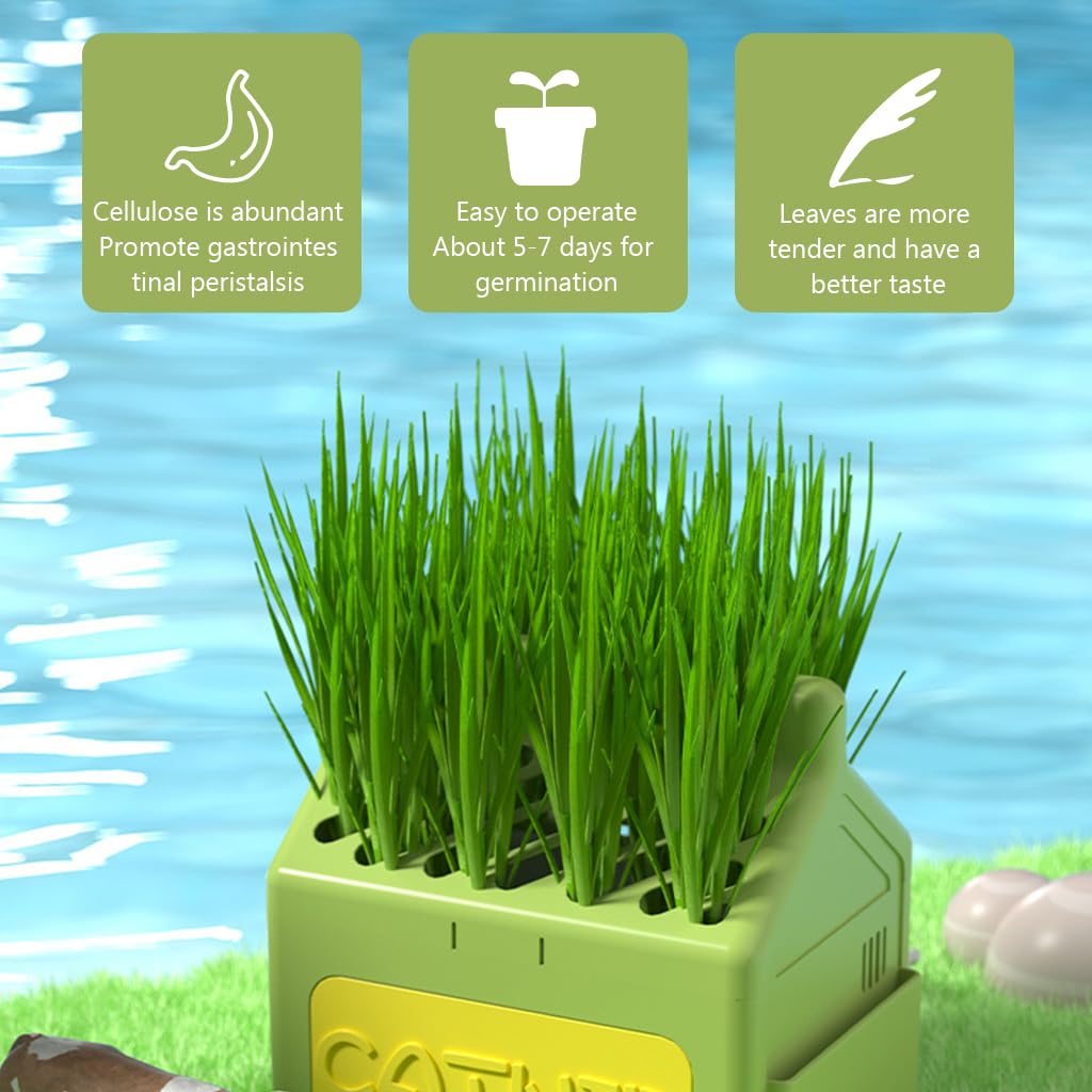 Qpets Cat Grass Planting Box for Fresh Catnip with Cartoon Milk Box Design 12x9x12cm Plastic Pot | Fun Home Décor for Cats