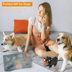 Qpets Squeaky Dog Toy for Interactive Play featuring Grunting Pig Sound and Soft Latex | Fun Fetch Training for Small and Medium Dogs