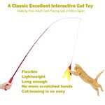 Cat Teaser Toy, Feather Toy for cat 11 Pcs Cat Toy Set with 2 Retractable Teaser Wand & 5 Feather Teaser Toy & 4 Worm Teaser, Interactive Cat Toys for Kitten to Play Chase Activity Exercise