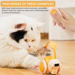 Qpets Cordless Snail Cat Toy with Dual Modes and Motion Sensor | USB Rechargeable 50‑Minute Playtime