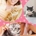 Qpets Jewelry Cat Collar for Photoshoots with Pink Rhinestone Heart Charm & Pearls | Adjustable 20–25 cm