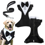 Qpets Dog Vest Harness Set with 1.5m Leash featuring 360° Swivel Buckle and Dacron Fabric
