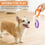Qpets Dog Chew Toy for Interactive Play with 3.74 in Ring | Non Toxic TPR Tug Toy