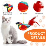 Qpets Door Hanging Cat Toy for Indoor Cats with 190cm Elastic Rope & Feather Tail | Interactive Squeaky Bird Teaser