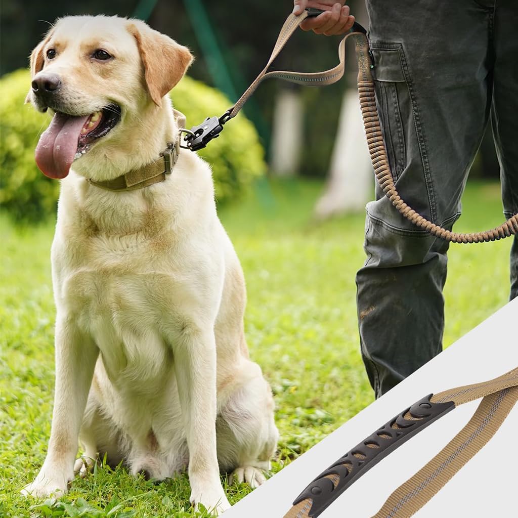 Qpets Bungee Dog Leash for Large Dogs with Dual Handles and 360° Swivel Clasp | 47–70 in Stretch