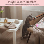 Qpets Electric Cat Ball Toy for Indoor Play with LED Light and Chirping Sounds | USB Rechargeable