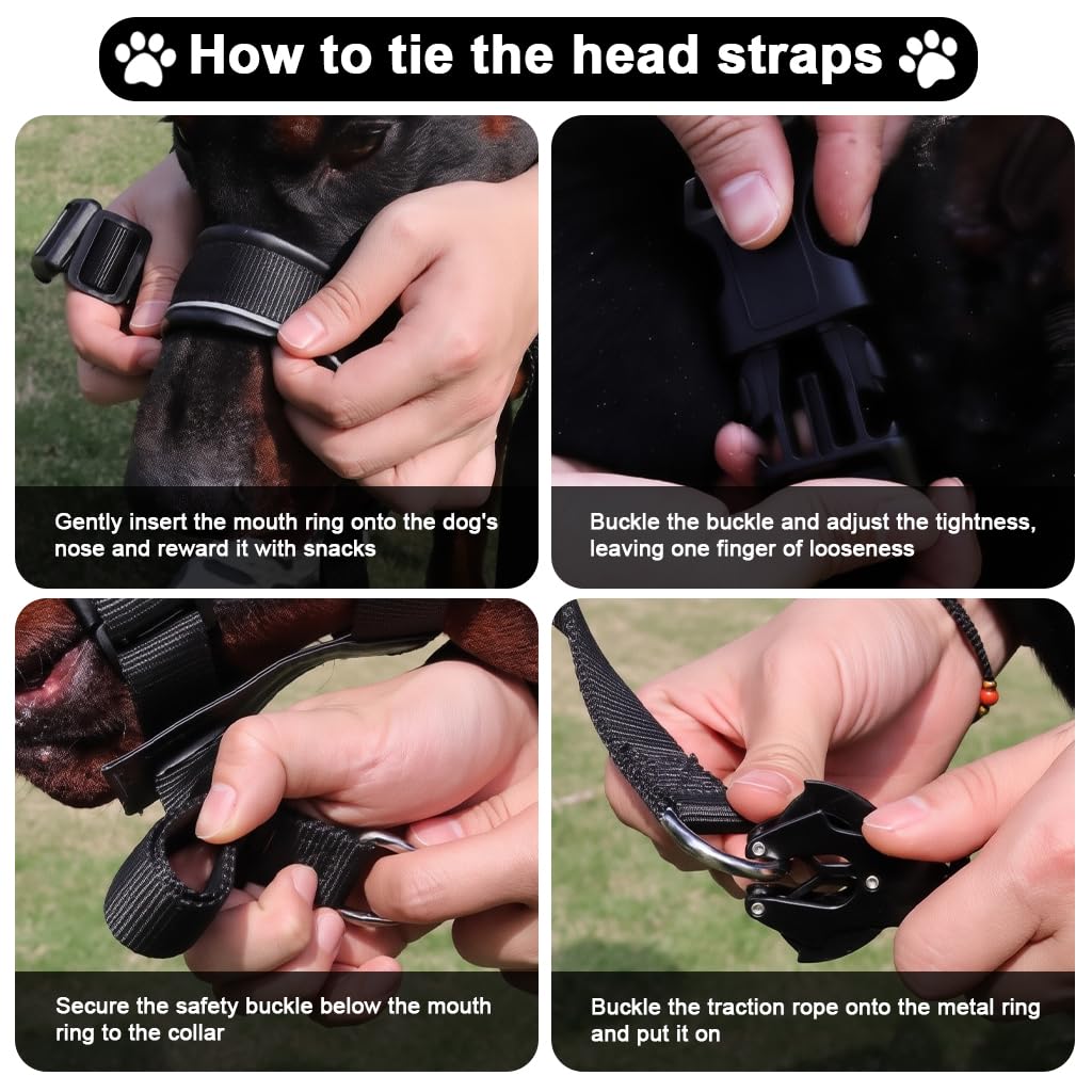 Qpets Dog Head Collar for Training Control with D-Ring and Quick Release Buckle | Adjustable Fit 30–60 cm with Soft Leather Liner for Small to Medium Dogs