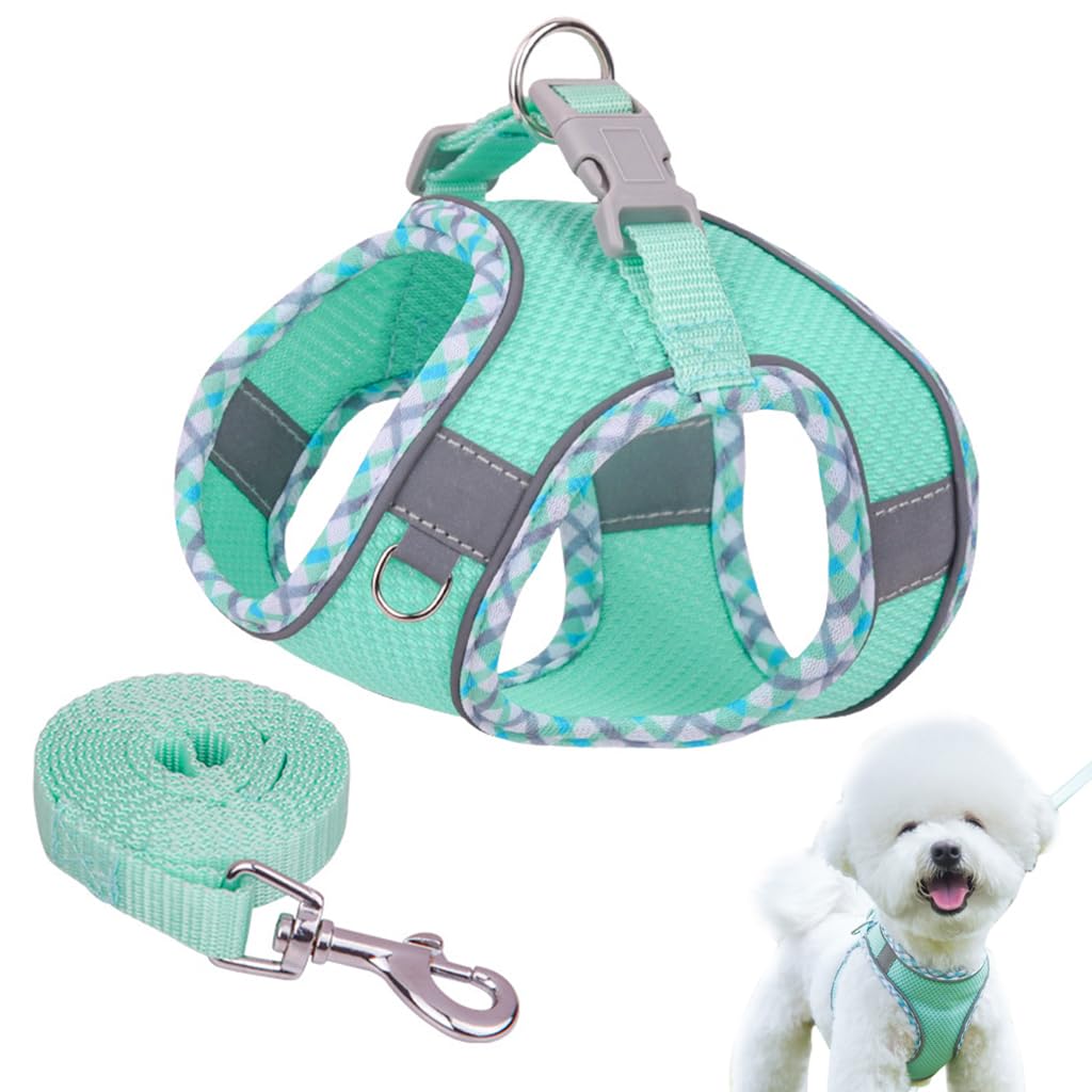 Qpets Small Dog Harness with 4.9 ft Leash featuring Dual D Rings and Breathable Mesh Vest