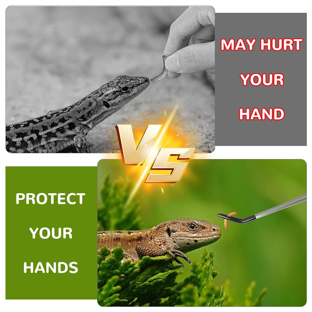 Qpets Feeding Tongs for Reptiles and Aquarium with 27cm Reach and Straight & Curved Tips | Stainless Steel with Rubber Sleeves