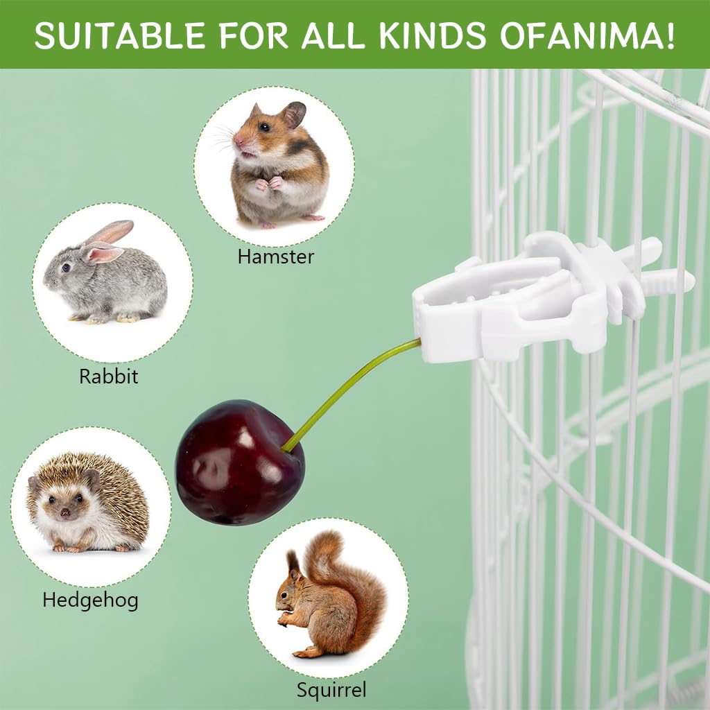 Qpets Pet Food Clip for Bird Cages with Secure Grip Holders 6 pcs in White Plastic | Easy Feeding