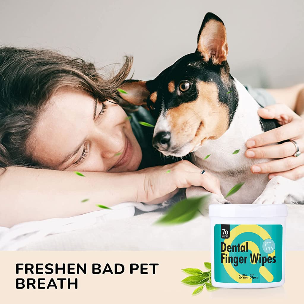 Qpets Teeth Cleaning Wipes for Pets with Finger Glove Design and 50 Count | Aloe Vera and Tea Polyphenol Fresh Breath Care