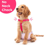 Qpets Dog Diaper Suspenders Strap for Medium Large Pets 34–65cm featuring Secure Clips and Y Shape Harness