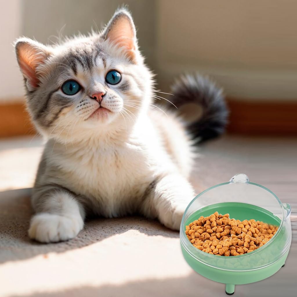 Qpets Cat Bowl for Cats and Dogs with 10° Tilted Stand & 13cm Diameter | PP Holder