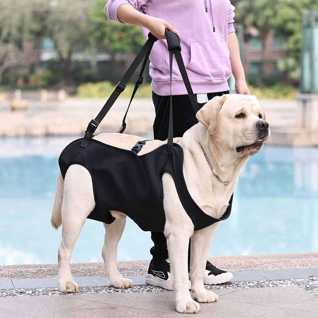 Qpets Dog Lift Harness for Aging and Injured Dogs with 22 in Body Support & Quick Release Buckle