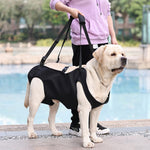 Qpets Dog Lift Harness for Aging and Injured Dogs with 22 in Body Support & Quick Release Buckle