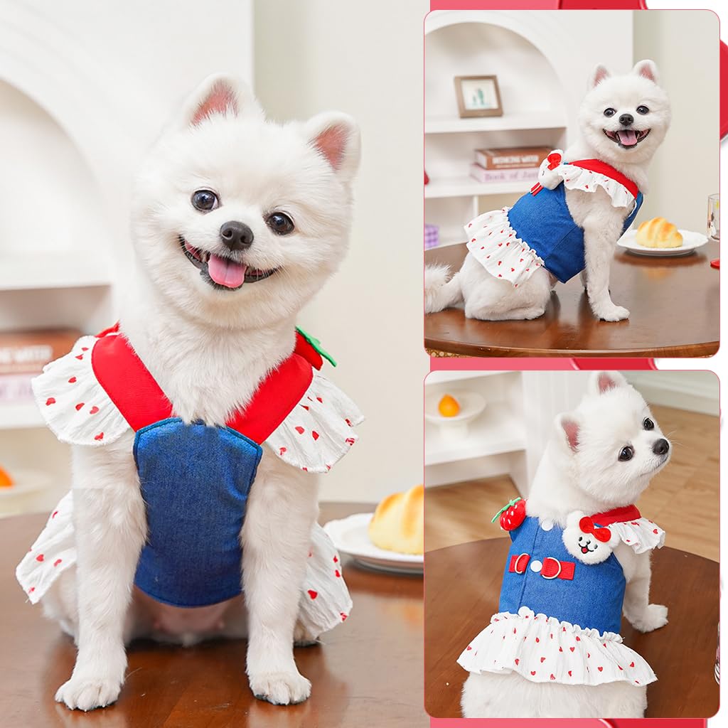 Qpets Dog Dress for Small Breeds featuring Ruffle Hem Skirt and Double D-Ring Leash | 45cm Chest