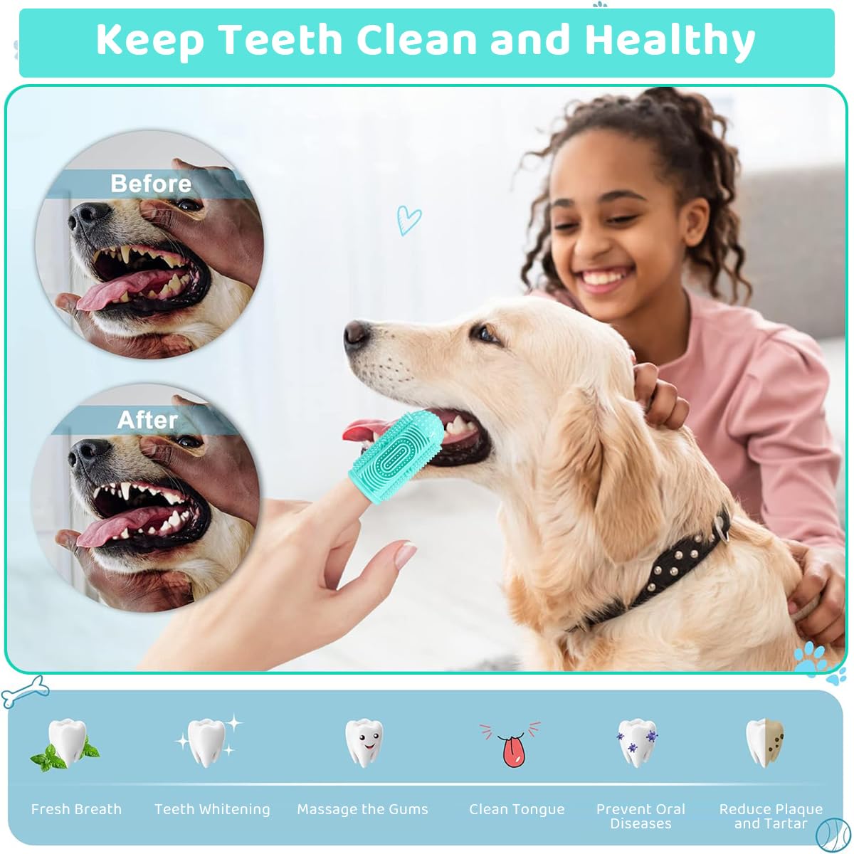Qpets Dog Finger Toothbrush for Teeth Cleaning with 4 Bristle Types and Soft Silicone | Green Pet Oral Care