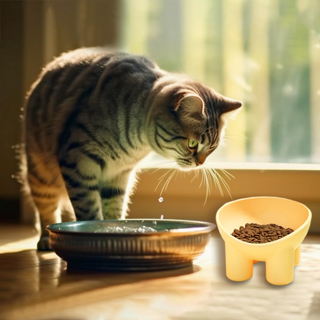 Qpets Elevated Cat Bowl with 3.5 in Raised Stand and Whisker-Friendly 5.4 in Design | PP Safe Anti-Tip Feeder
