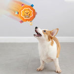 Qpets Dog Toy 6.3 in Round Rattle Toy with Squeaky Sound and Soft Plush for Cats and Dogs