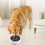 Qpets Slow Feeder Insert for Dogs and Cats with Puzzle Design and 4.3 in Fit | Food Grade Silicone