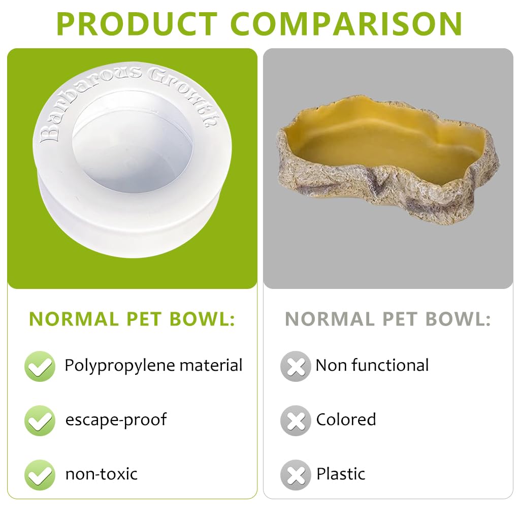 Qpets Reptile Feeding Bowl for Terrarium Feeding with Escape‑Proof Cap 6.7 cm Diameter | PP Material for Leopard Gecko and Bearded Dragon