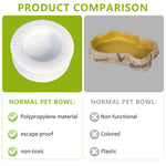 Qpets Reptile Feeding Bowl for Terrarium Feeding with Escape‑Proof Cap 6.7 cm Diameter | PP Material for Leopard Gecko and Bearded Dragon