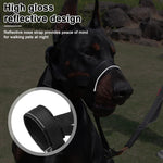 Qpets Dog Head Collar for Training Control with D-Ring and Quick Release Buckle | Adjustable Fit 30–60 cm with Soft Leather Liner for Small to Medium Dogs