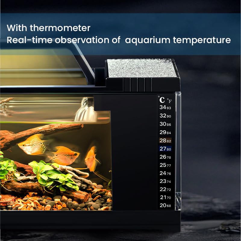 Qpets Small Desk Fish Tank for Home or Office with LED Light Air Pump and Thermometer
