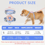 Qpets Cat Harness with Leash Set for Outdoor Walking featuring Quick Release Buckle and 120cm Leash | Fits Chest 27–43cm