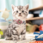 Qpets Cat Collar Set with Handcrafted Crochet Flower and Bell | Pink and Green Plush Adjustable Collars for Cats and Kittens