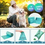 Qpets KadogyPet Dog Poop Bags for Walks with Leakproof Design and 120 Count | 9×13 in Biodegradable HDPE+EPI Material