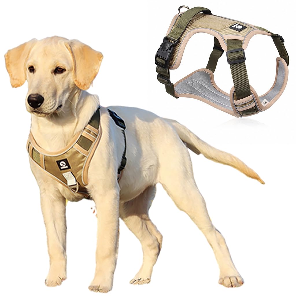 Nylon Dog Harness, No-Pull Dog Strap Pet Safety Belt with Control Handle, Harness for Medium Dogs with Reflective Tape and 2 Connecting Rings (Army Yellow, L, 20-36kg)