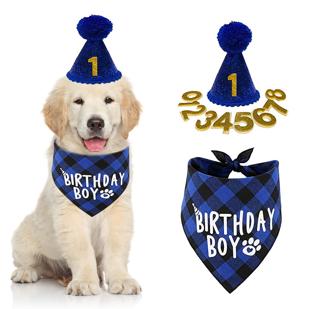 Qpets Dog Birthday Party Hat Set with 40cm Bandana and Customizable Age Label | Blue