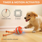 Qpets Auto Rolling Pet Ball Toy with LED Light & Birdsong featuring 360° Motion | USB Rechargeable Silicone for Indoor Play