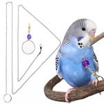 Qpets Parrot Chain Harness for Outdoor Use with 50cm Chain and Quick Release Buckle | Purple Opal Charm Collar