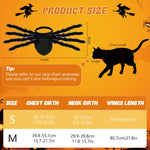 Qpets Halloween Dog Costume for Small Pets featuring 8-Claw Black Spider Design | Adjustable Fit