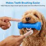 Qpets Dog Dental Chew Prop for Small and Medium Dogs, TPR Aid for Guided Brushing