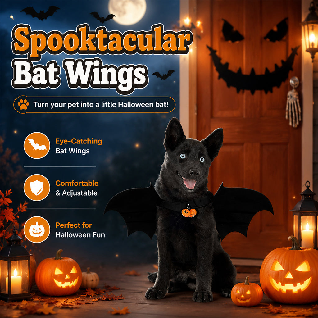 Qpets Bat Wing Costume for Cats and Small Dogs, Size L, 5mm Felt, Bell and Adjustable Straps