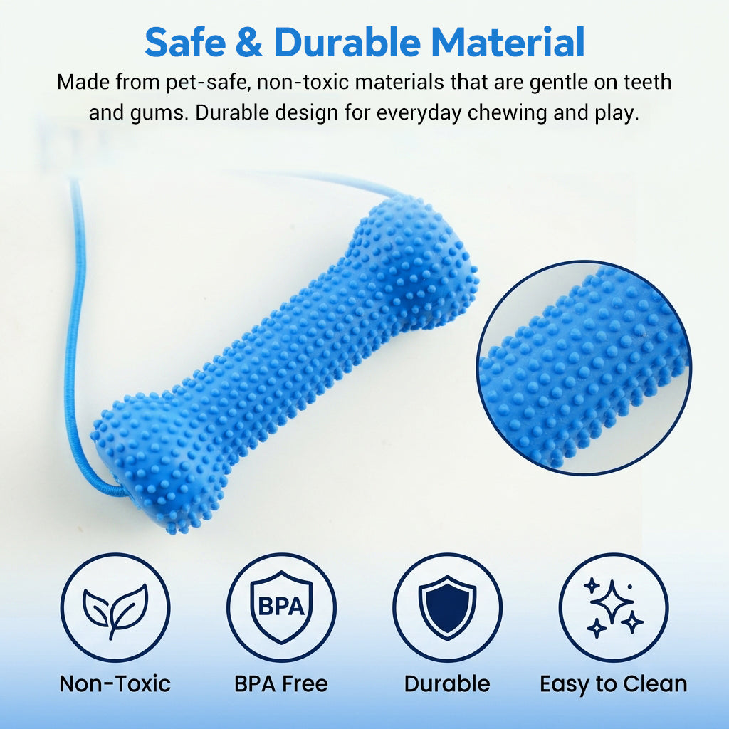 Qpets Dog Dental Chew Prop for Small and Medium Dogs, TPR Aid for Guided Brushing