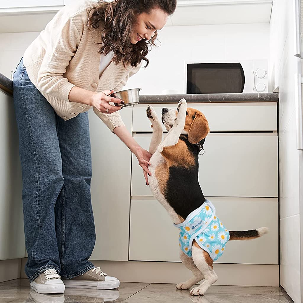 Qpets Female Dog Diapers for Puppies and Adult Dogs with 120ml Absorption Mesh Lining | 2 Pack Washable Reusable Comfort Fit